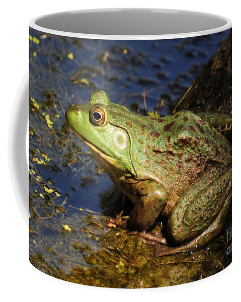 Frog Coffee Mug featuring the photograph A Prince Of A Frog by Kathy Baccari