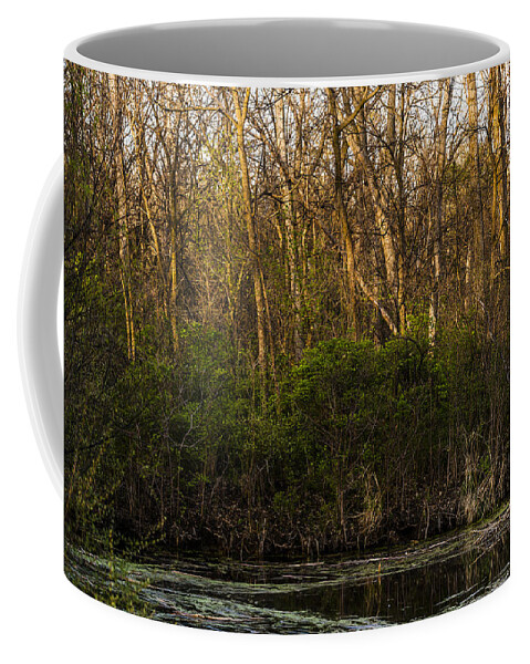 Spring Coffee Mug featuring the photograph A Quiet Corner by Ed Peterson