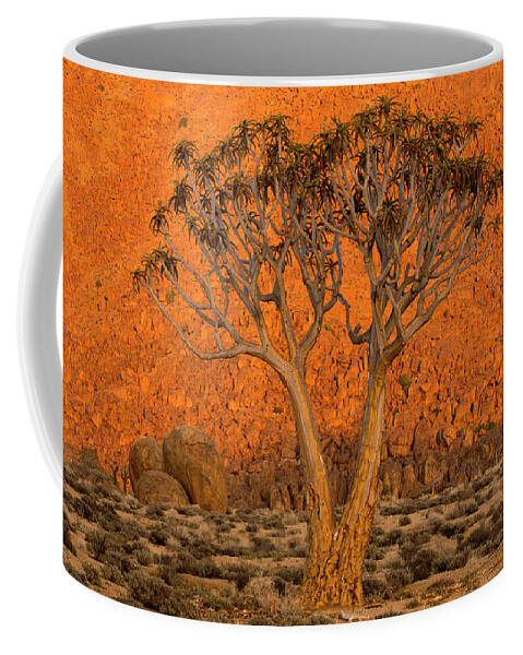 Tree Coffee Mug featuring the photograph A Quiver Tree, Or Kokerboom, Aloe by Robert Postma