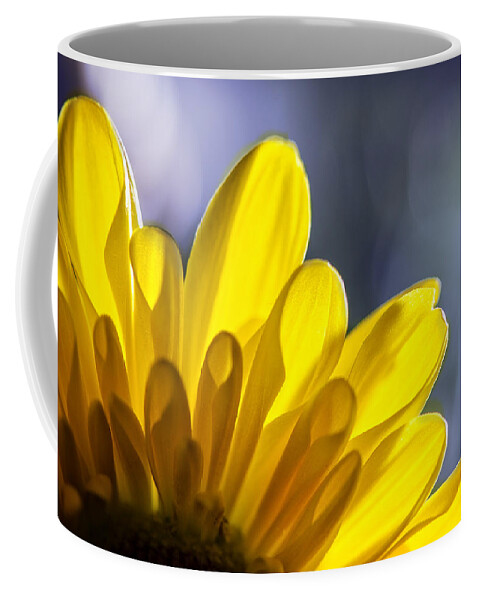 Floral Coffee Mug featuring the photograph A Ray Of Sunshine by Sandra Parlow