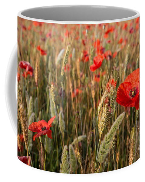 Agriculture Coffee Mug featuring the photograph A red dressed beauty by Hannes Cmarits