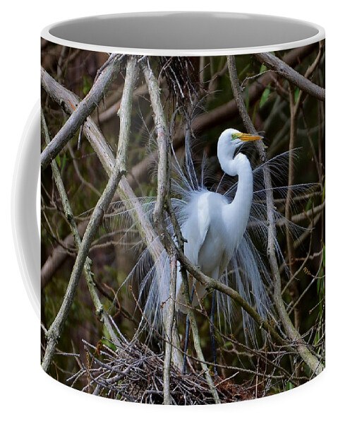 Birds Coffee Mug featuring the photograph A Season Of Love by Kathy Baccari