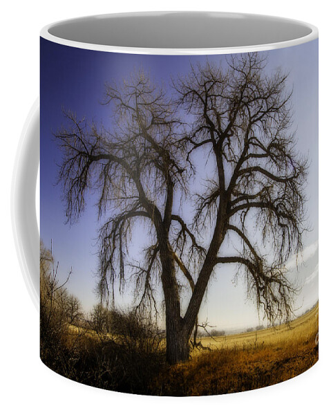 Colorado Coffee Mug featuring the photograph A Simple Tree by Kristal Kraft