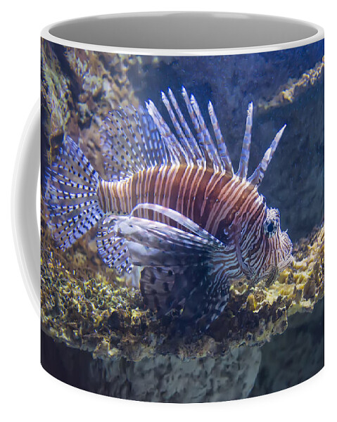 Fish Coffee Mug featuring the photograph A Single Lion Fish Swimming by Flees Photos