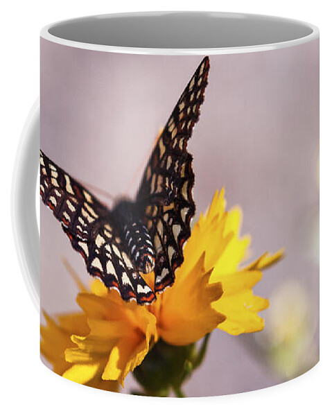 Butterfly Coffee Mug featuring the photograph A Sip of Coreopsis by Caitlyn Grasso
