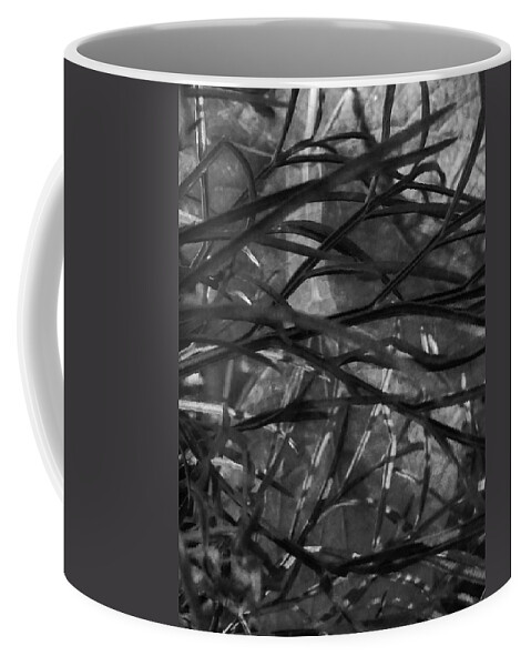 Leaves Coffee Mug featuring the photograph A Spider's Eye by Steve Taylor