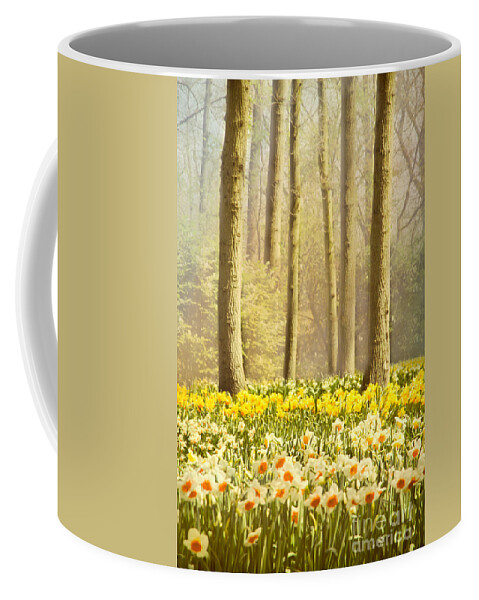 Forest Coffee Mug featuring the photograph A Spring Day by Jasna Buncic