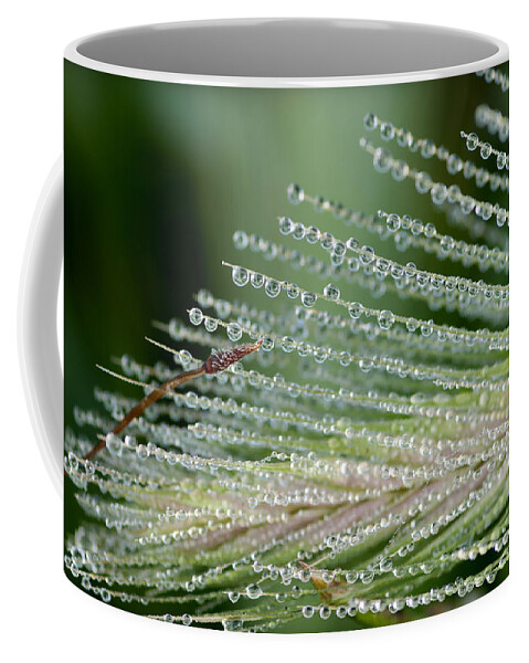 Floral Coffee Mug featuring the photograph A Thousand Diamonds - Tiny Iced Water Drops Hang Of A Pine Leave by Pedro Cardona Llambias