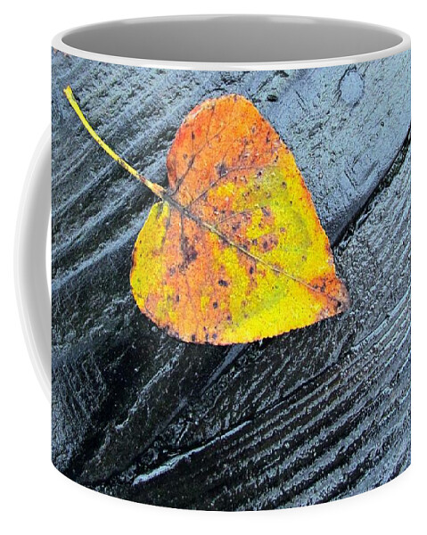 Autumn Coffee Mug featuring the photograph A touch of Autumn by I'ina Van Lawick
