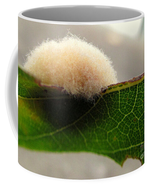 Gall Coffee Mug featuring the photograph Troublesome Tribbles by Lori Lafargue