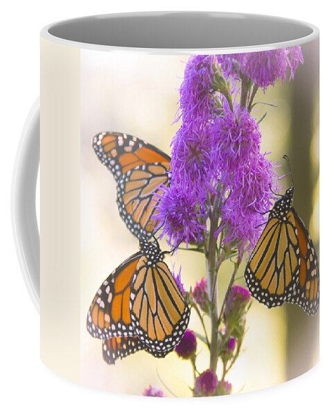 Monarch Coffee Mug featuring the photograph A Trio of Monarchs by Hermes Fine Art