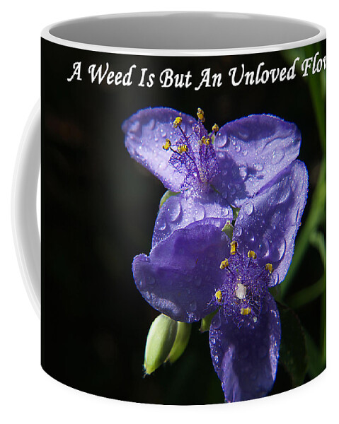  Coffee Mug featuring the photograph A Weed Is But An Unloved Flower by Bob Johnson