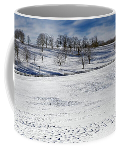 Bucolic Coffee Mug featuring the photograph A Winters Day by Bill Wakeley