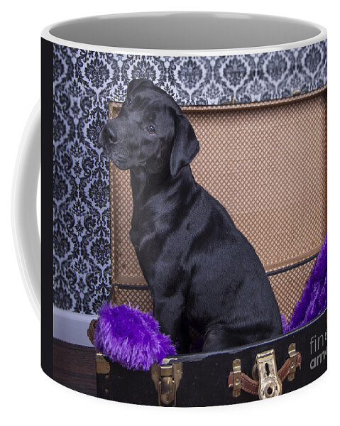  Coffee Mug featuring the photograph Abby by Alana Ranney