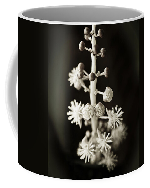 Abstract Coffee Mug featuring the photograph Abstract Croton Flower by Marilyn Hunt