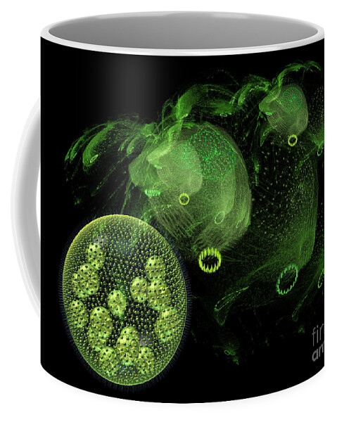 Abstract Coffee Mug featuring the digital art Abstract pond creatures by Russell Kightley