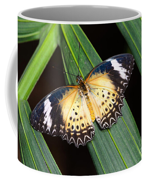 Leopard Lacewing Coffee Mug featuring the photograph Butterfly on Leaves by Tamara Becker