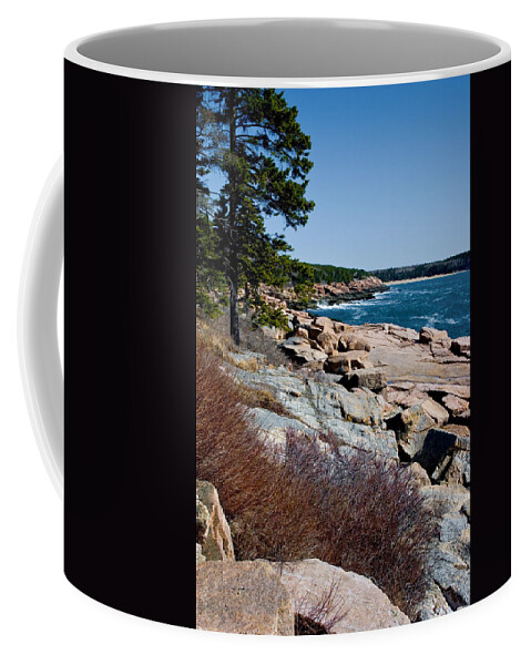 Landscape Coffee Mug featuring the photograph Acadia Coast Overlooking Thunder Hole 2759 by Brent L Ander