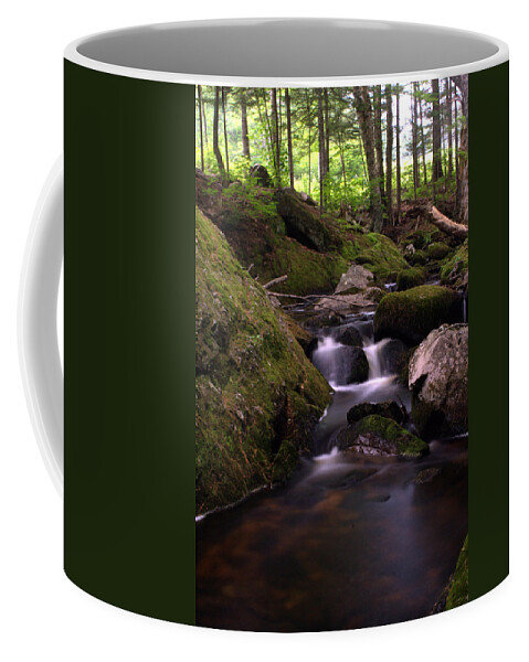 Landscape Coffee Mug featuring the photograph Accidental Discovery by Greg DeBeck