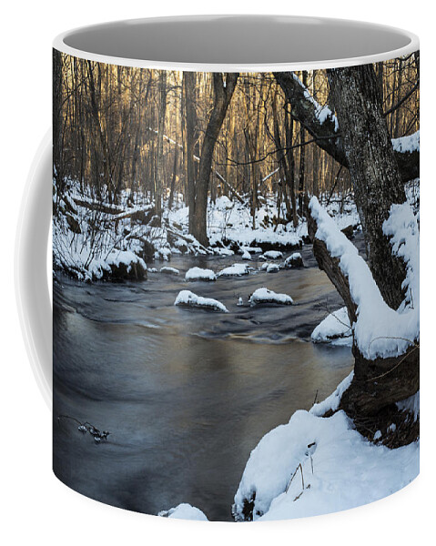 Andrew Pacheco Coffee Mug featuring the photograph Adamsville Brook by Andrew Pacheco