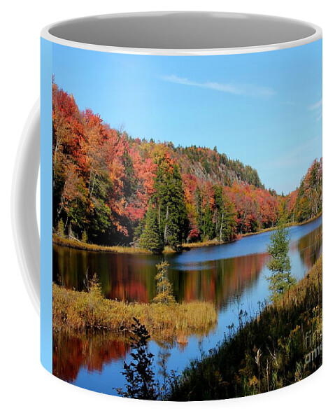 Adirondacks Coffee Mug featuring the photograph Adirondack Splendor by Rod Best