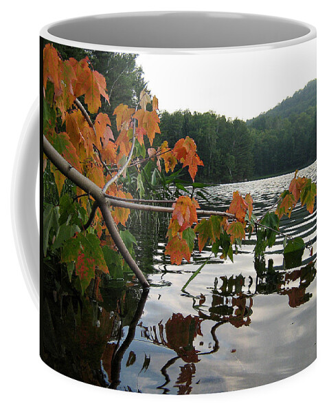 Adirondacks Coffee Mug featuring the photograph Adirondack Weekend by Joshua House