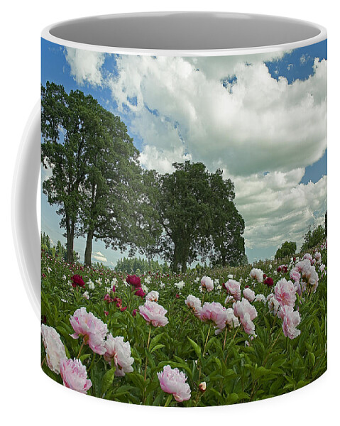 Pacific Coffee Mug featuring the photograph Adleman's Peony Fields by Nick Boren