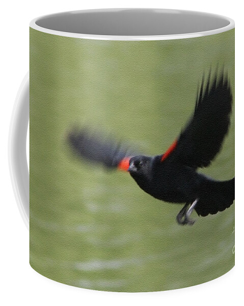 Christian Coffee Mug featuring the photograph Aerial Blackbird by Anita Oakley