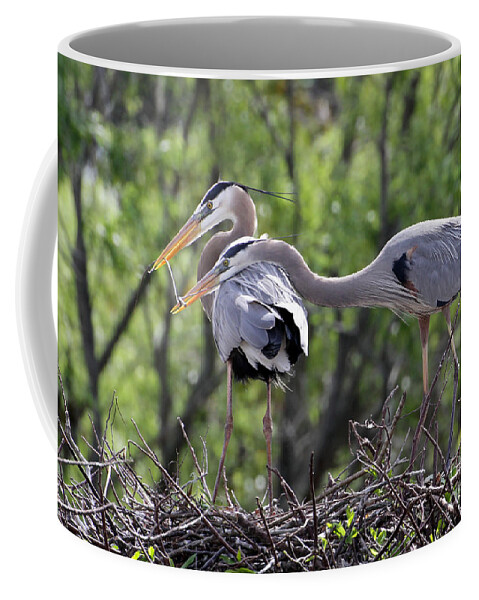 Animal Coffee Mug featuring the photograph Affectionate Great Blue Heron Mates by Sabrina L Ryan