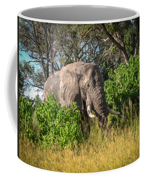 Botswana Coffee Mug featuring the photograph African Bush Elephant by Gregory Daley MPSA