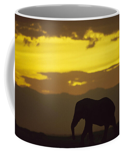 Feb0514 Coffee Mug featuring the photograph African Elephant At Sunset Amboseli by Gerry Ellis