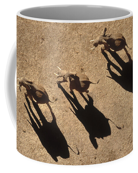 00173360 Coffee Mug featuring the photograph African Elephant Shadows by Tim Fitzharris