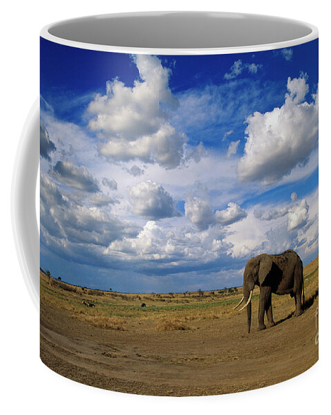 00344759 Coffee Mug featuring the photograph African Elephant Walking in Masai Mara by Yva Momatiuk John Eastcott