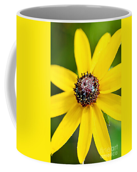 Wildflowers Coffee Mug featuring the photograph After a Summer Rain by Gwen Gibson