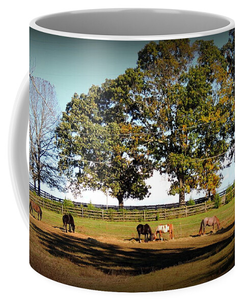Horses Coffee Mug featuring the photograph Afternoon in the sun at Blue Horse Rescue by Rabiah Seminole
