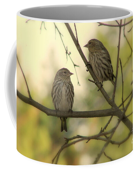 Pine Coffee Mug featuring the photograph Afternoon Sit by Leone Lund
