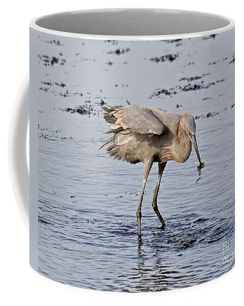 Egret Coffee Mug featuring the photograph Afternoon Snack by Carol Bradley