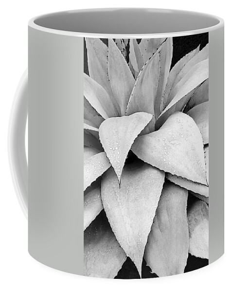 Plants Of The Southwest Coffee Mug featuring the photograph Agave Detail by Jim Smith