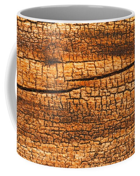 Abstract Of Nature Coffee Mug featuring the photograph Aged Elm by Jim Zablotny