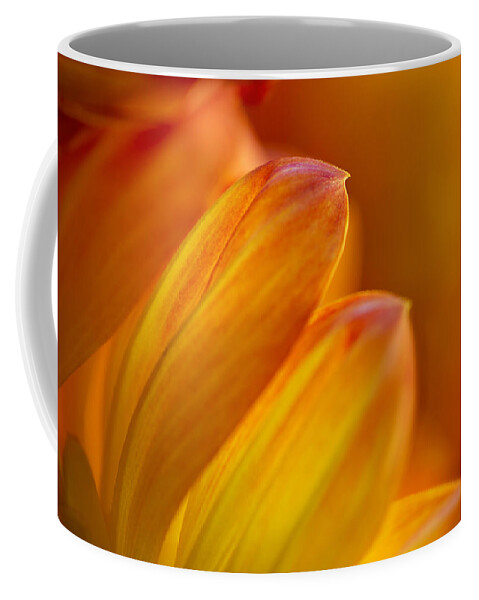 Floral Coffee Mug featuring the photograph Aglow by Mary Jo Allen