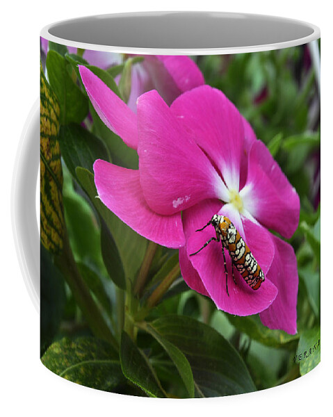 Moth Coffee Mug featuring the photograph Ailanthus Webworm Moth Visiting My Garden by Verana Stark