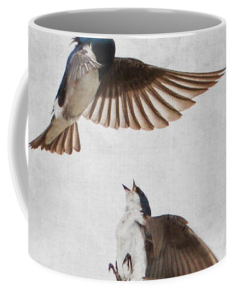 Jai Johnson Coffee Mug featuring the photograph AirOBatics - Tree Swallows by Jai Johnson