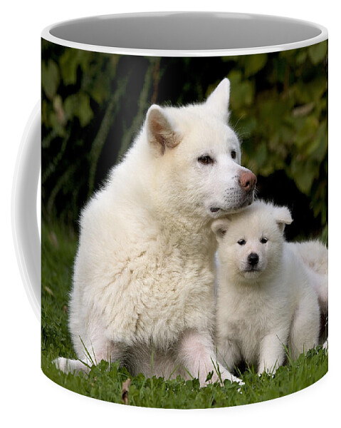 Dog Coffee Mug featuring the photograph Akita Inu Dog And Puppy by Jean-Michel Labat