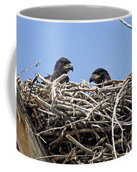 Colorado Coffee Mug featuring the photograph Al and Bert by Bob Hislop