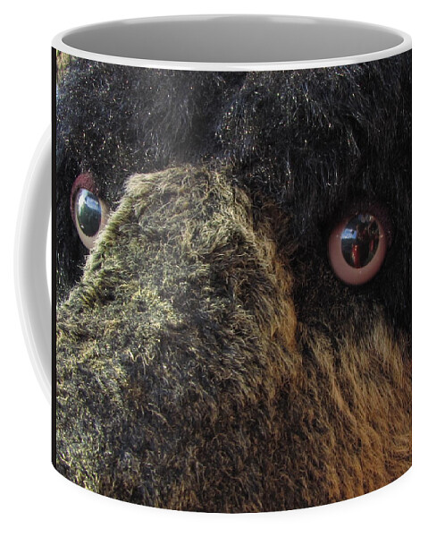 Bear Coffee Mug featuring the photograph Alaskan Bear by Jennifer Wheatley Wolf