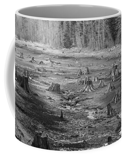 Wall Decor Coffee Mug featuring the photograph Alder Lake in Black and White by Ron Roberts
