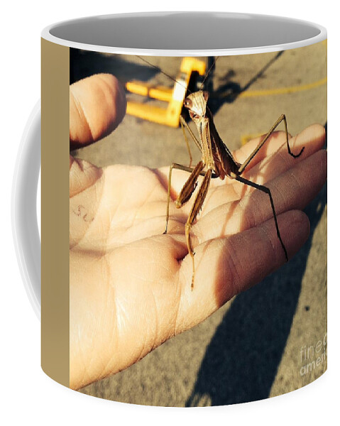 Praying Mantis Coffee Mug featuring the photograph Alien amongst Us by Michael Krek