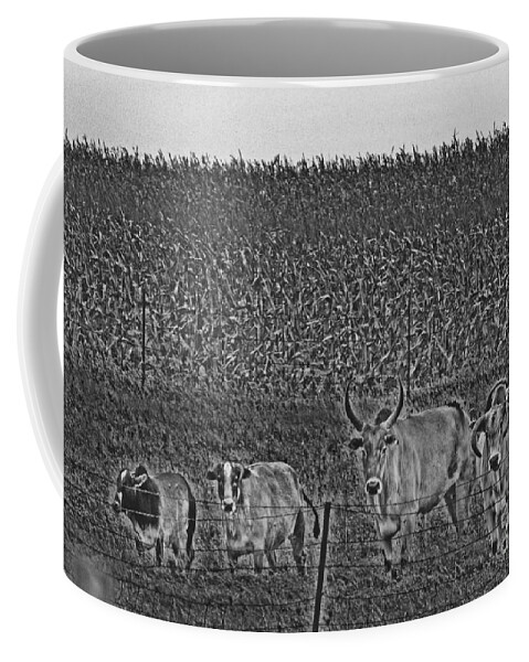 All Lined Up No Where To Go Coffee Mug by Minding My Visions by Adri and  Ray - Fine Art America