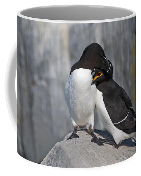 Festblues Coffee Mug featuring the photograph All You Need is Love... by Nina Stavlund