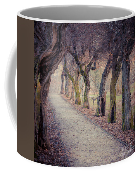 Austria Coffee Mug featuring the photograph Alley - Square by Hannes Cmarits
